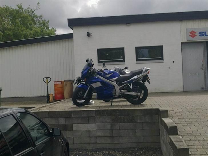 Suzuki Gs 500 E billede 11