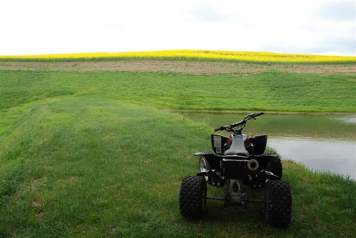 Yamaha YFZ 450 (SOLGT) billede 3