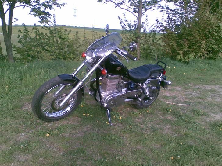 Suzuki ls 650 savage billede 1