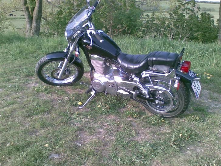 Suzuki ls 650 savage billede 4