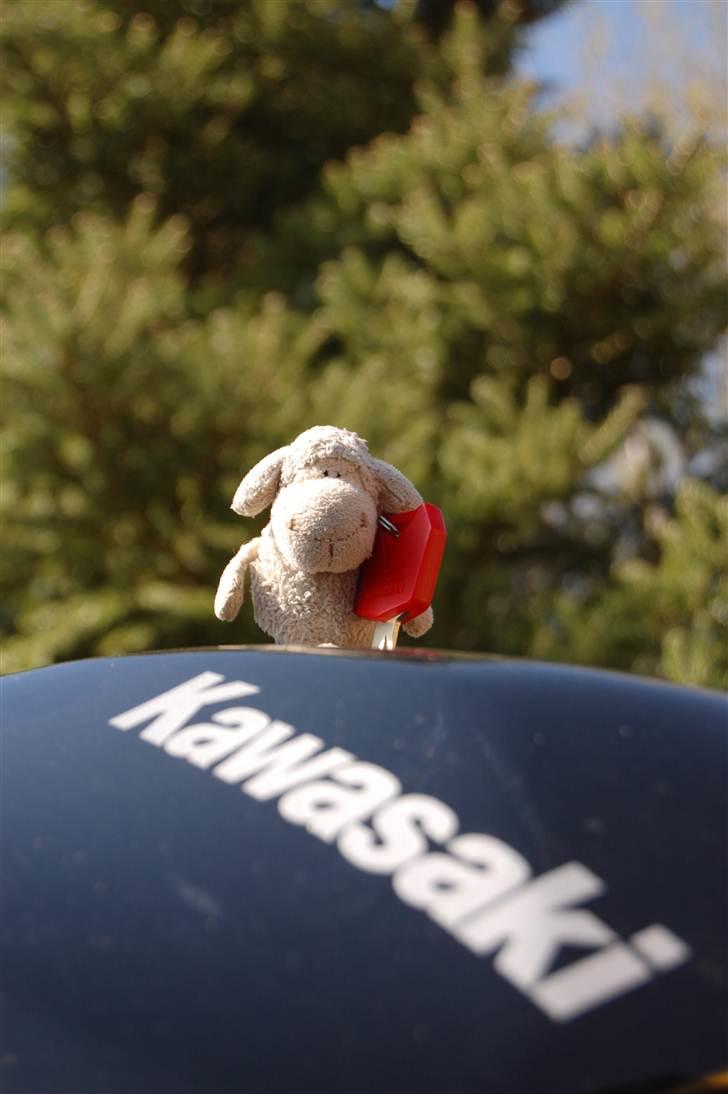 Kawasaki z750 billede 19