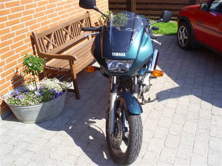 Yamaha xj 600s Diversion-SOLGT billede 3