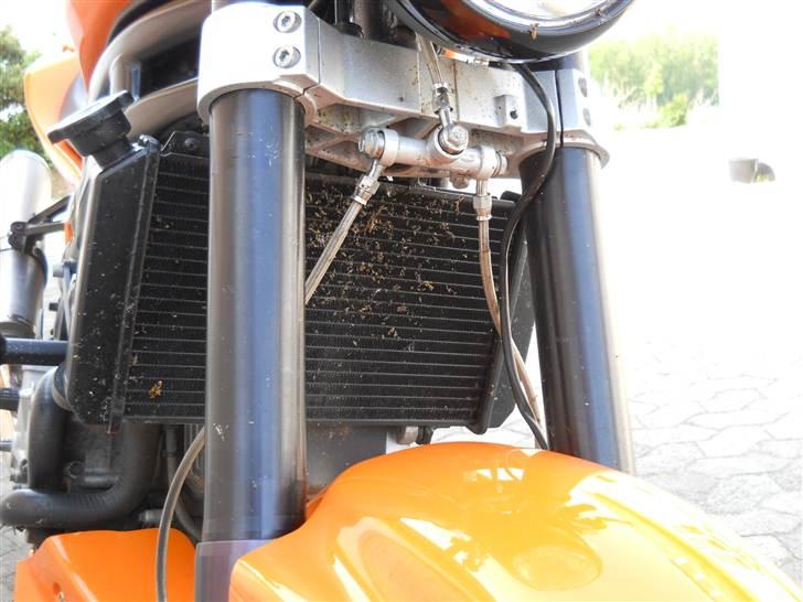 Hyosung GT 650 EFI - Frontmonteret fluefanger billede 5