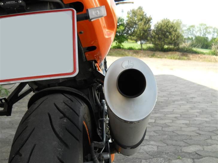 Hyosung GT 650 EFI - Rumble in the jungle! billede 12