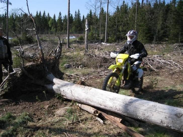 Suzuki DR-Z 400 billede 7