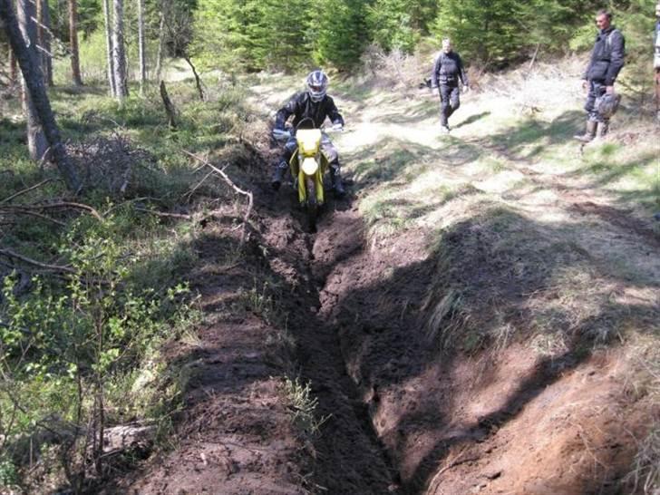 Suzuki DR-Z 400 billede 10