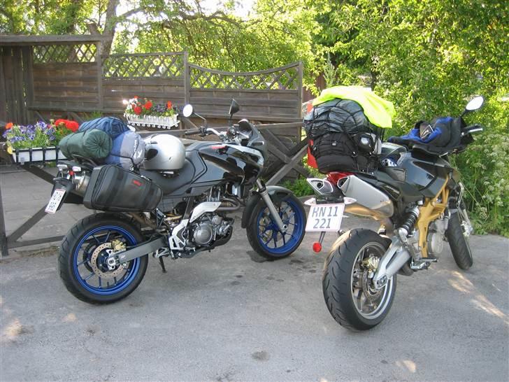 Aprilia Pegaso 650 Strada billede 7