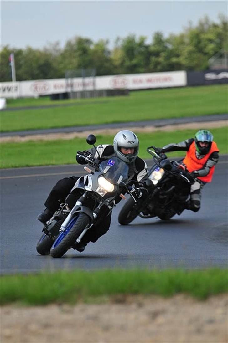 Aprilia Pegaso 650 Strada billede 9