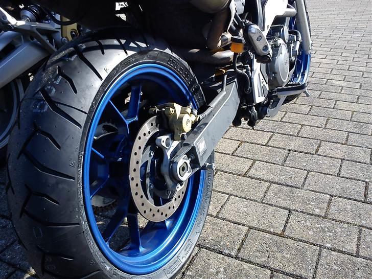 Aprilia Pegaso 650 Strada billede 11