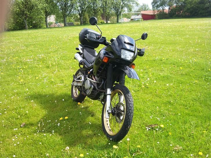 Honda NX 650 Dominator. billede 2