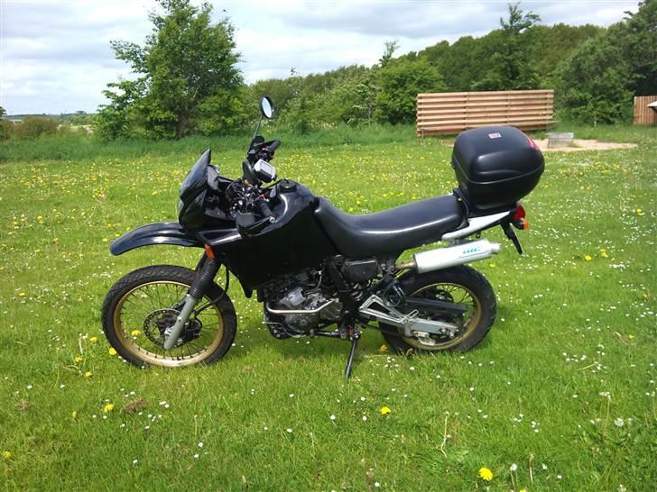 Honda NX 650 Dominator. billede 3