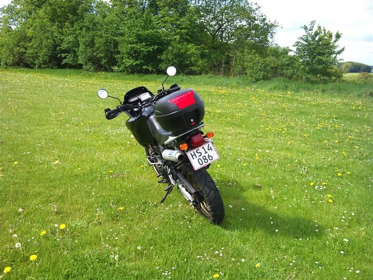 Honda NX 650 Dominator. billede 4