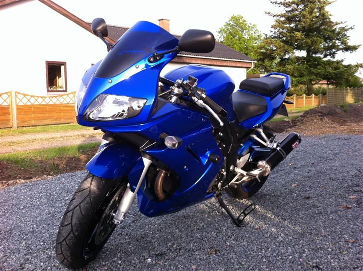 Suzuki SV1000S Limited Edition  billede 9