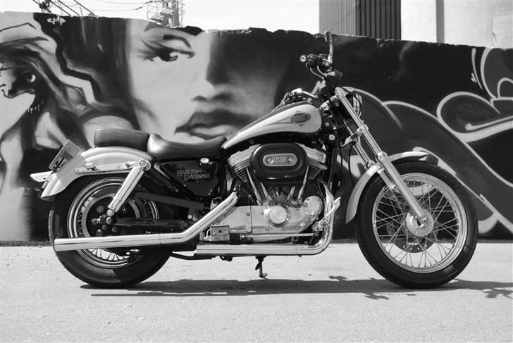 Harley Davidson 883 Sportster billede 7