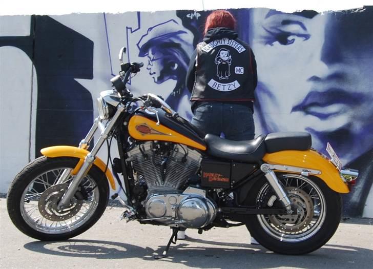 Harley Davidson 883 Sportster billede 8