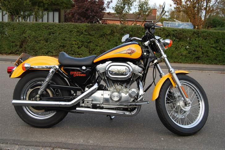Harley Davidson 883 Sportster billede 9