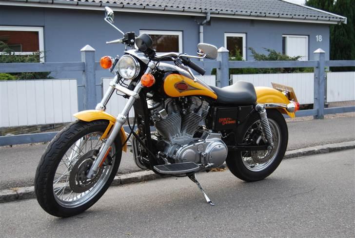 Harley Davidson 883 Sportster billede 10
