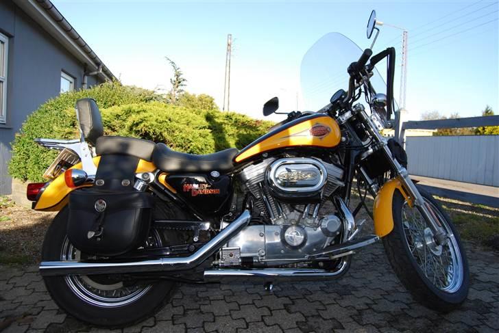 Harley Davidson 883 Sportster - Sådan så den ud lige da den var kommet hjem billede 11