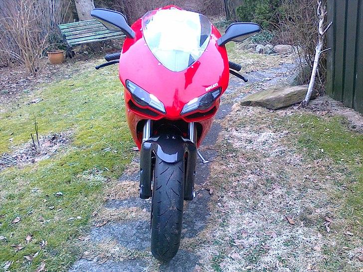 Ducati 1098 billede 5