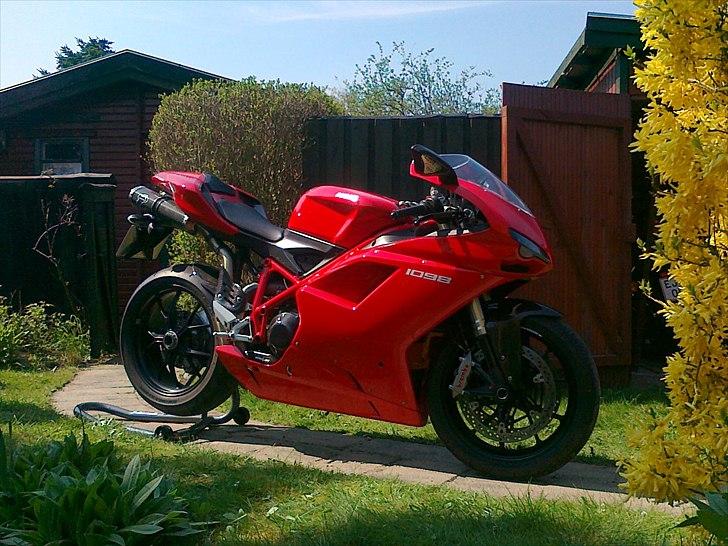 Ducati 1098 billede 7