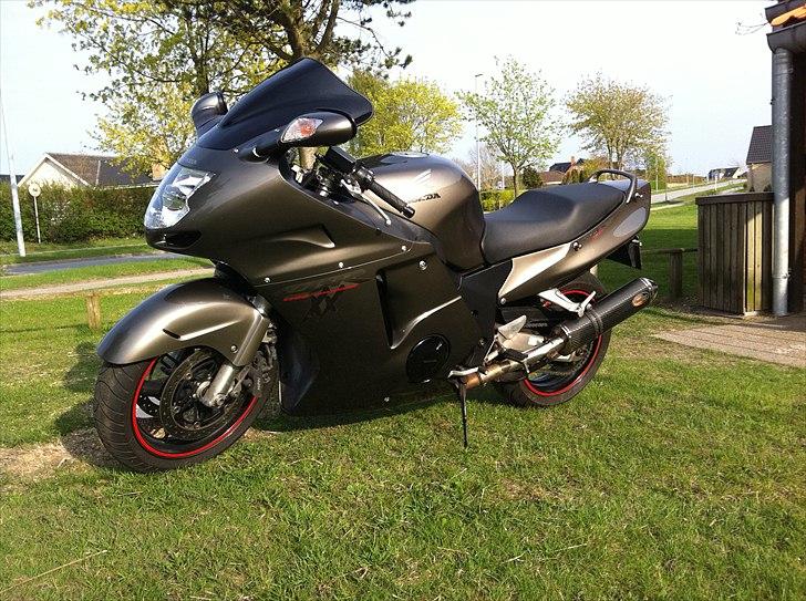 Honda Blackbird billede 1