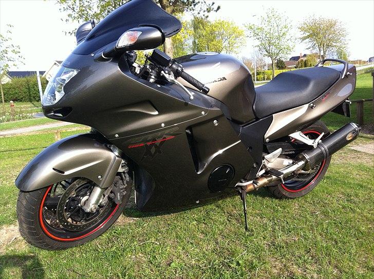 Honda Blackbird billede 2