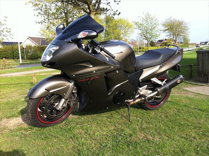 Honda Blackbird billede 3