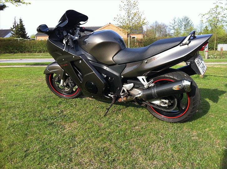 Honda Blackbird billede 4