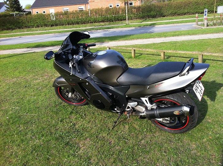 Honda Blackbird billede 5