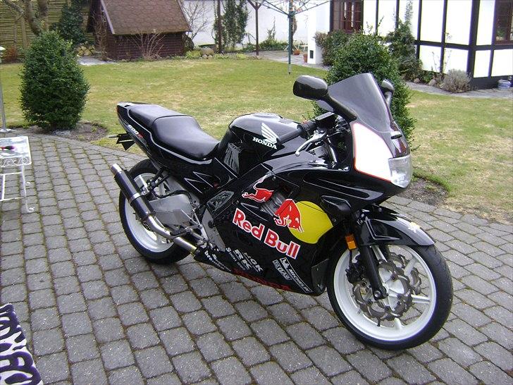 Honda CBR 600 F2 RedBull billede 1