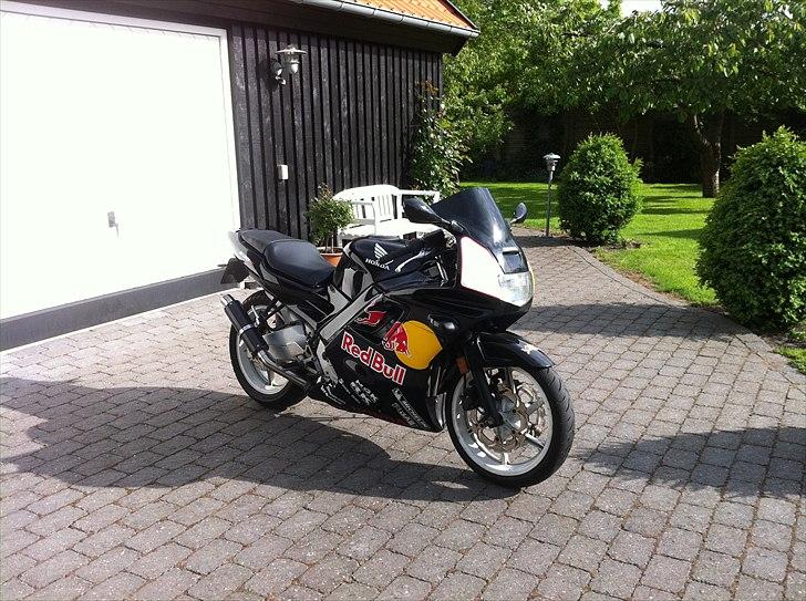 Honda CBR 600 F2 RedBull billede 5