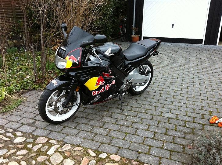 Honda CBR 600 F2 RedBull billede 9