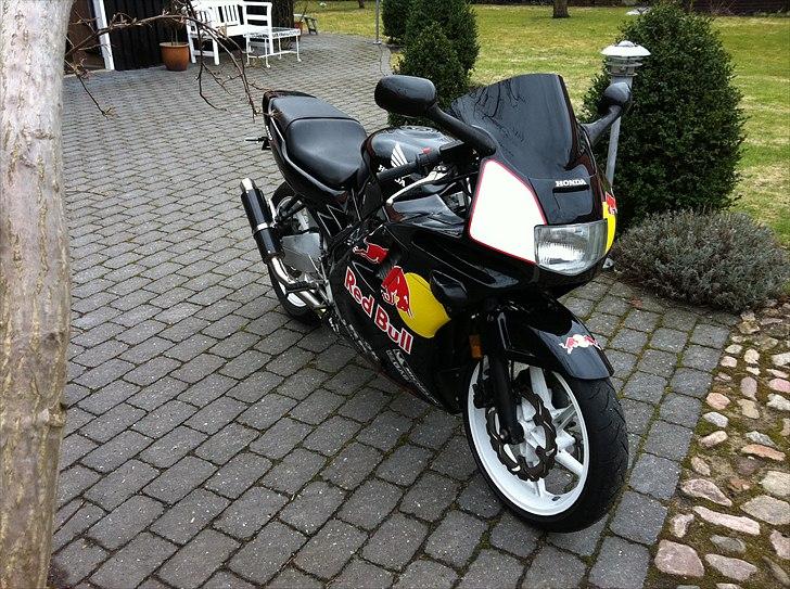 Honda CBR 600 F2 RedBull billede 10