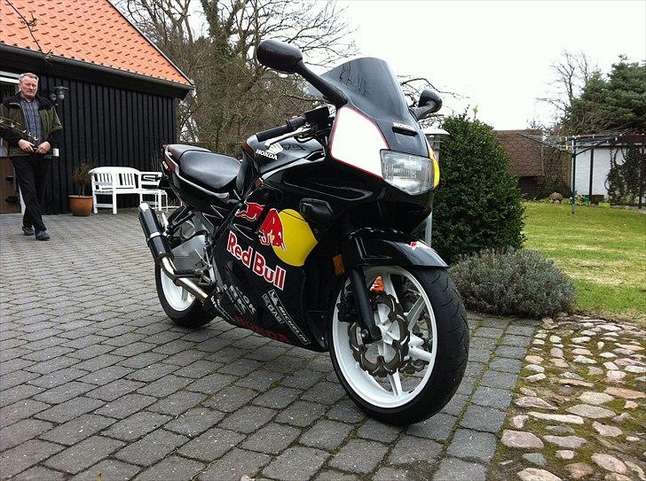 Honda CBR 600 F2 RedBull billede 11