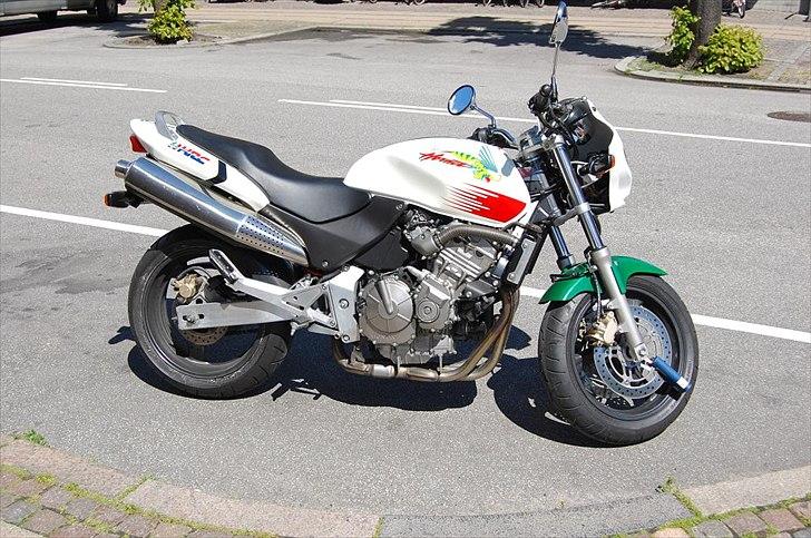Honda CB 600F Hornet billede 1