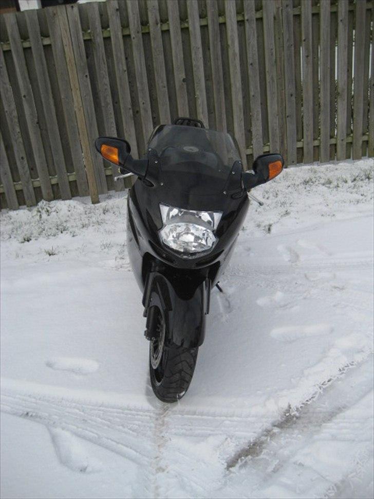 Honda CBR 1100 xx blackbird billede 1