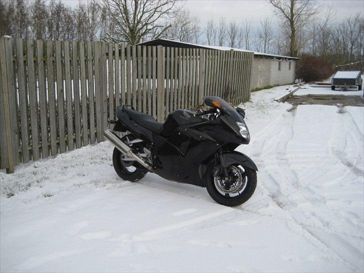 Honda CBR 1100 xx blackbird billede 2