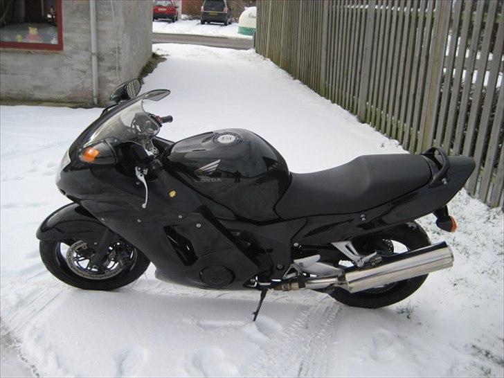 Honda CBR 1100 xx blackbird billede 3