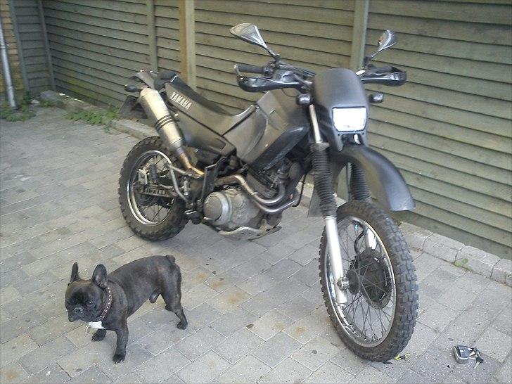 Yamaha Yamaha xt 600K *SOLGT* billede 1