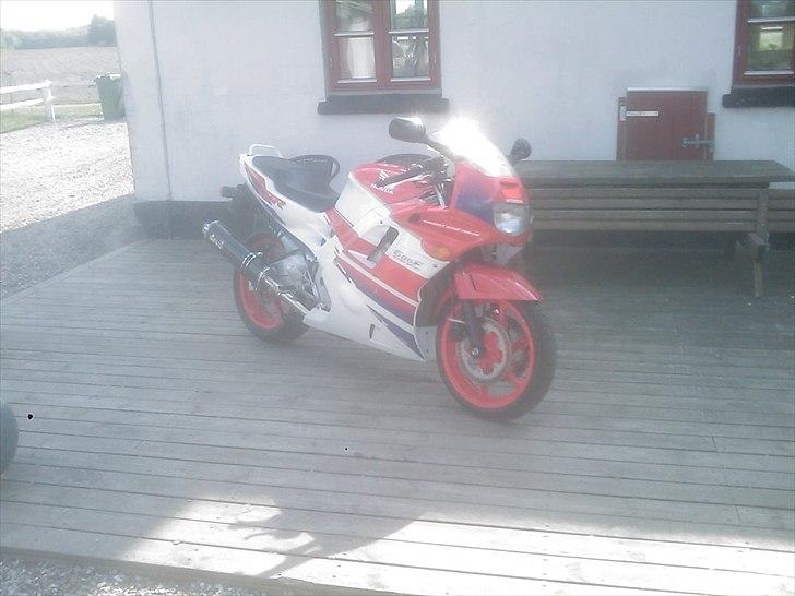 Honda CBR 600 billede 6