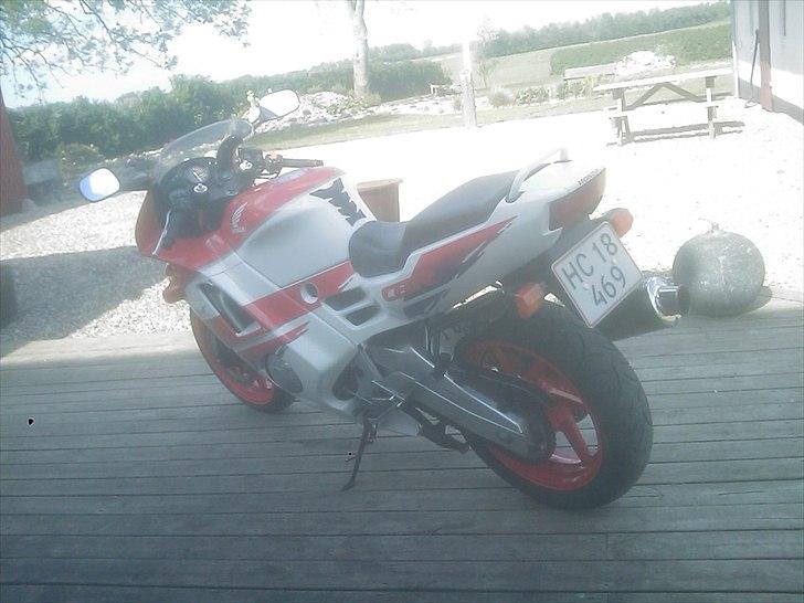 Honda CBR 600 billede 8