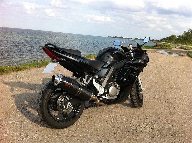 Suzuki Sv 650 SA - Go røv, go udsigt :) billede 1