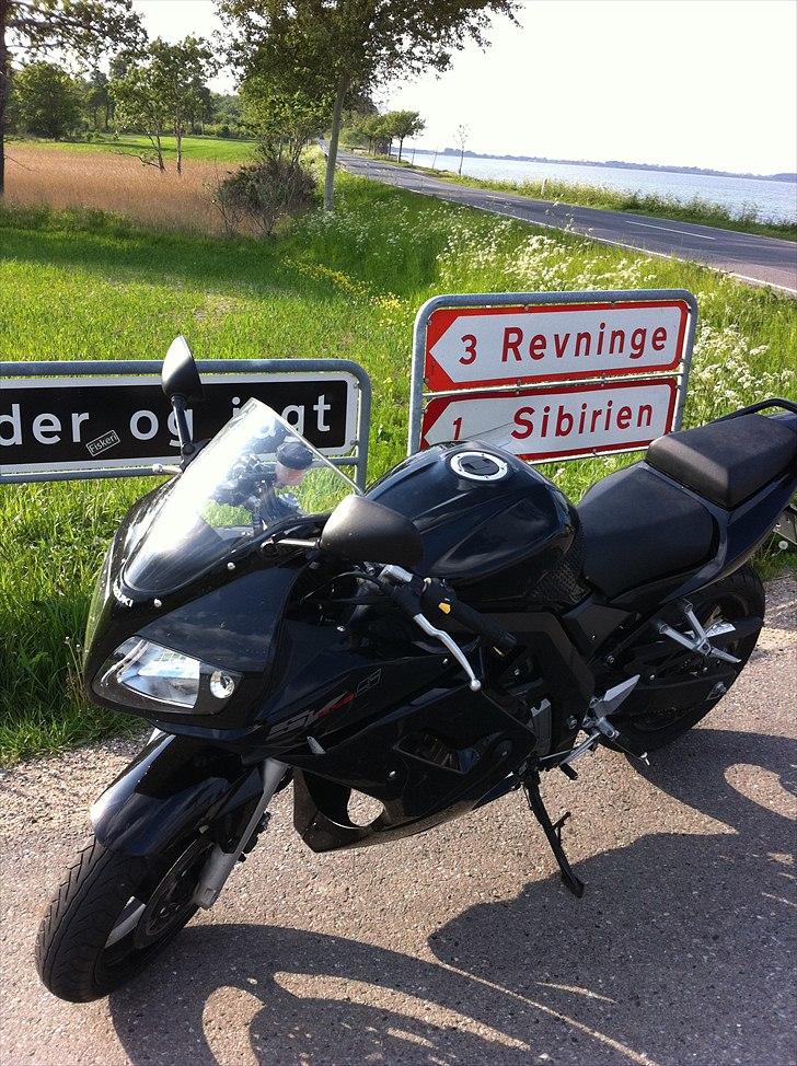 Suzuki Sv 650 SA - Var da lige et smit i Sibirien.. Fantastisk på denne årstid.. ;) billede 6