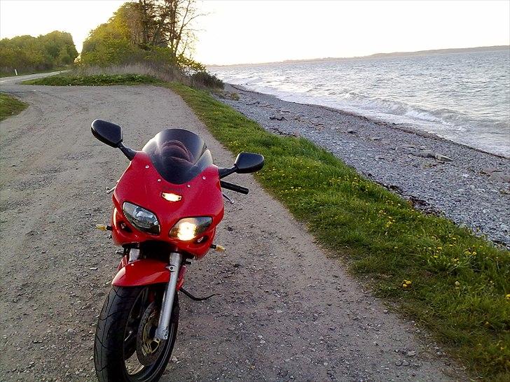 Suzuki SV 650s (Solgt) billede 15