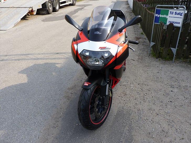 Aprilia RSV Mille billede 10