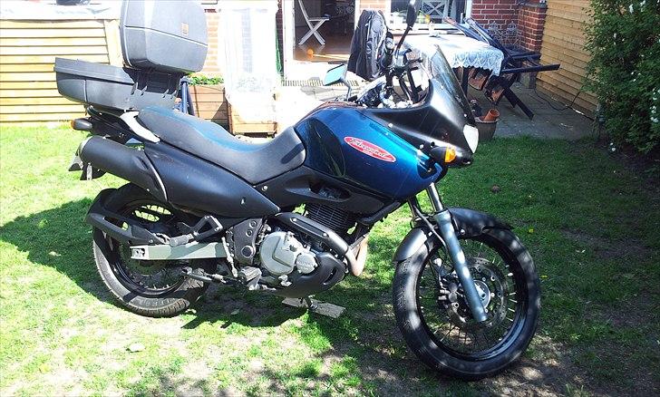 Suzuki XF 650 Freewind billede 3