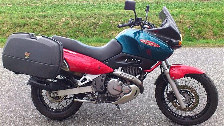 Suzuki XF 650 Freewind - Sådan så den ud da jeg hentede den :-) billede 5