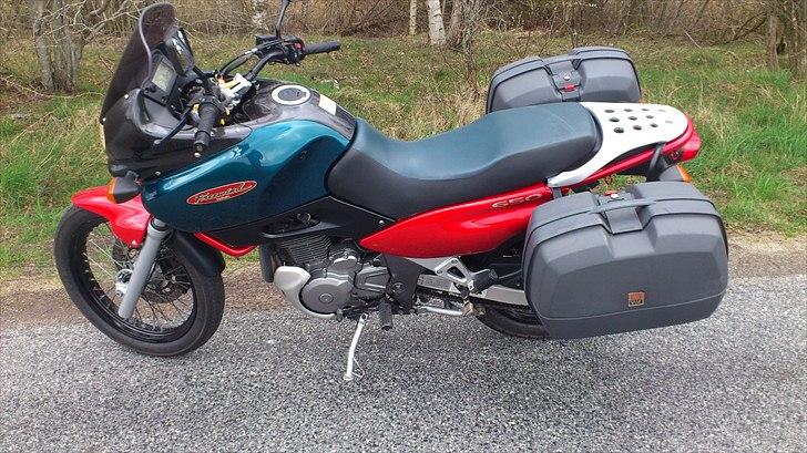 Suzuki XF 650 Freewind billede 6