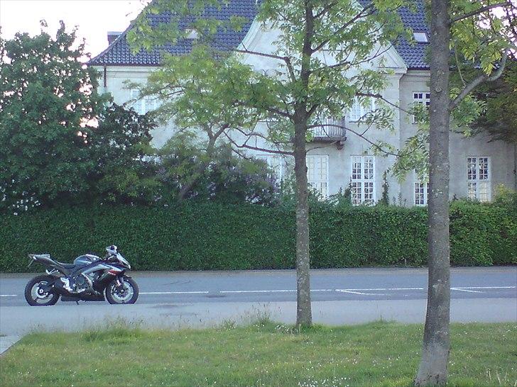 Suzuki GSX R 750 billede 6