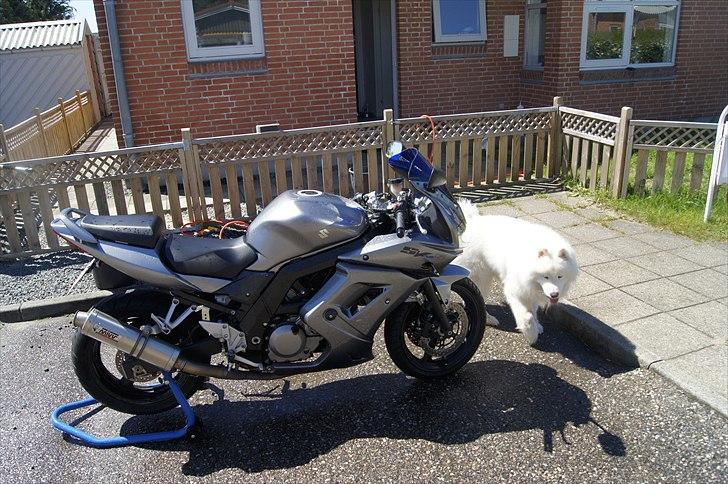 Suzuki sv 650s billede 13